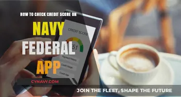 Unlock Your Financial Insights: Checking Your Credit Score on Navy Federal App