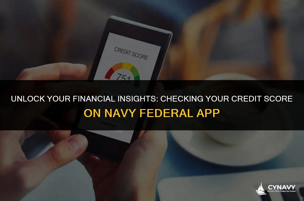 how to check credit score on navy federal app