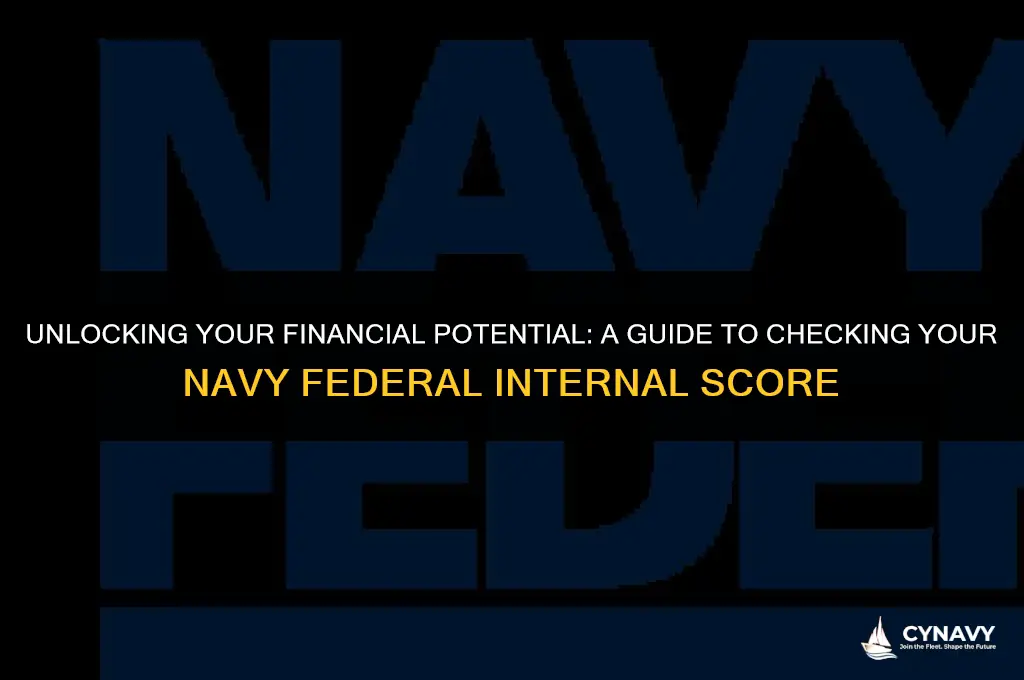 how to check navy federal internal score