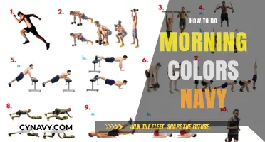 Elevate Your Morning Routine: Mastering the Navy Color Scheme