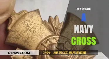 Valor and Sacrifice: The Path to Earning a Navy Cross