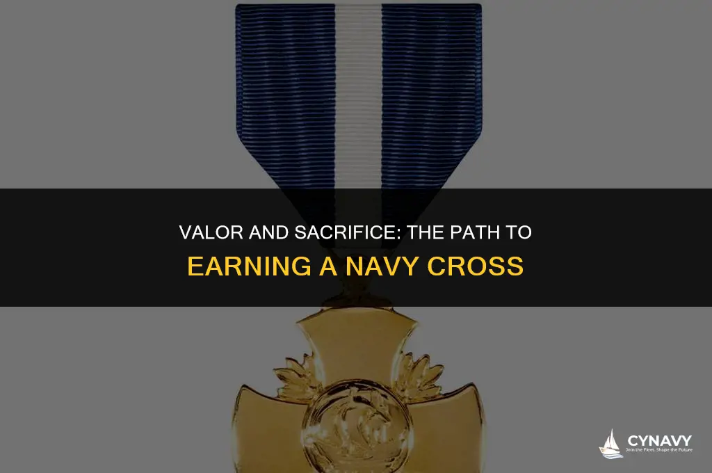 how to earn a navy cross