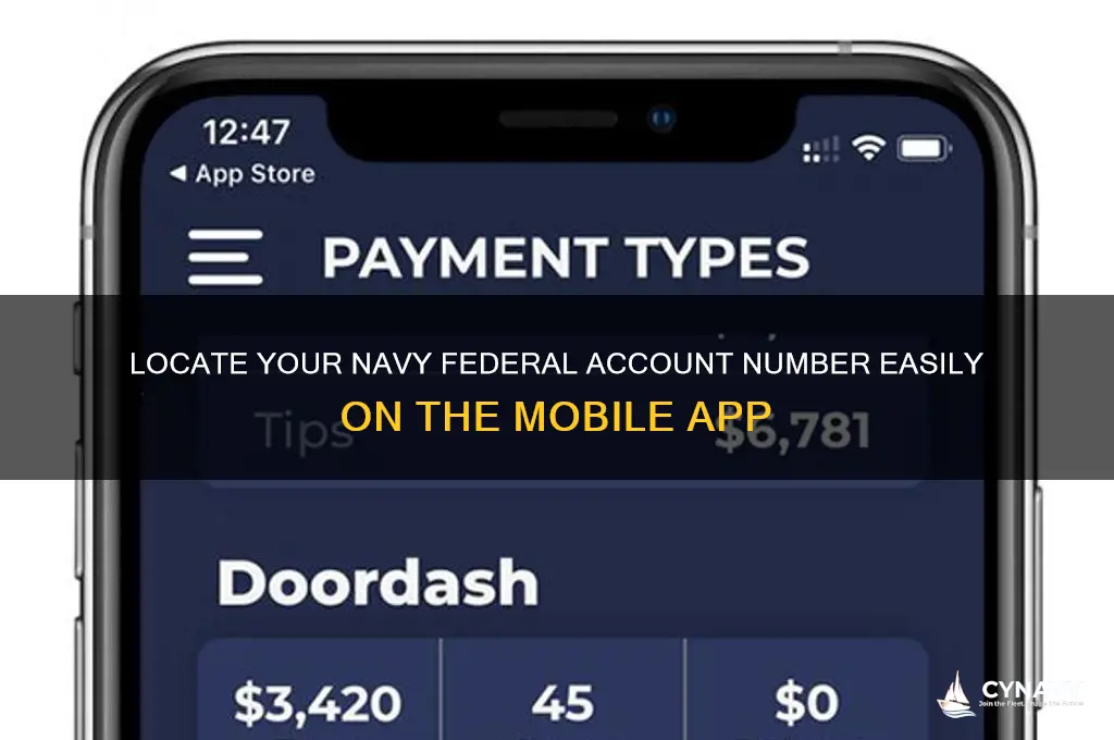 how to find account number on navy fed app