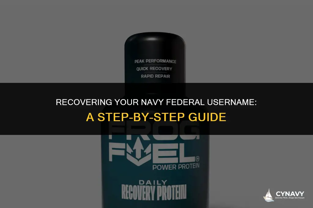 how to find navy federal username