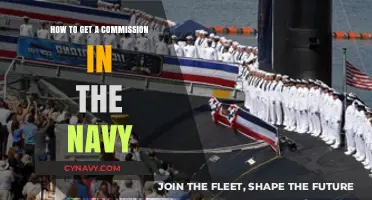 Steps to Earn Your Commission in the U.S. Navy