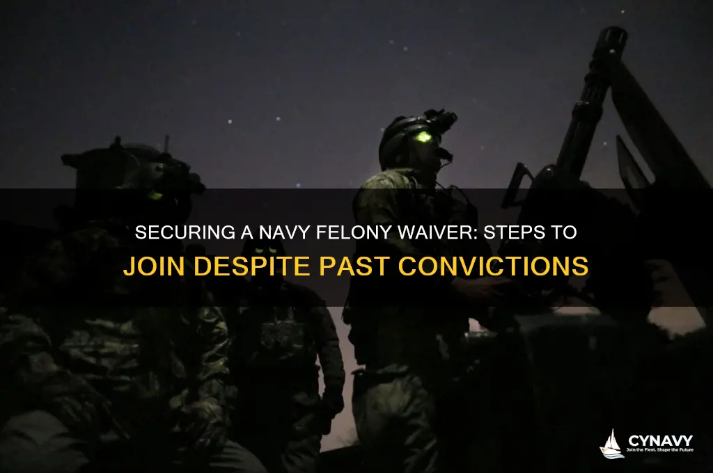 how to get a felony waiver for the navy