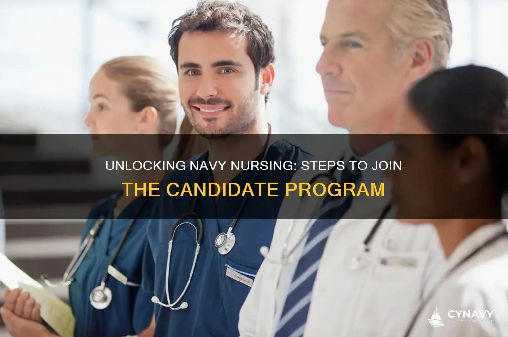 how to get accepted into the navy nursing candidate program