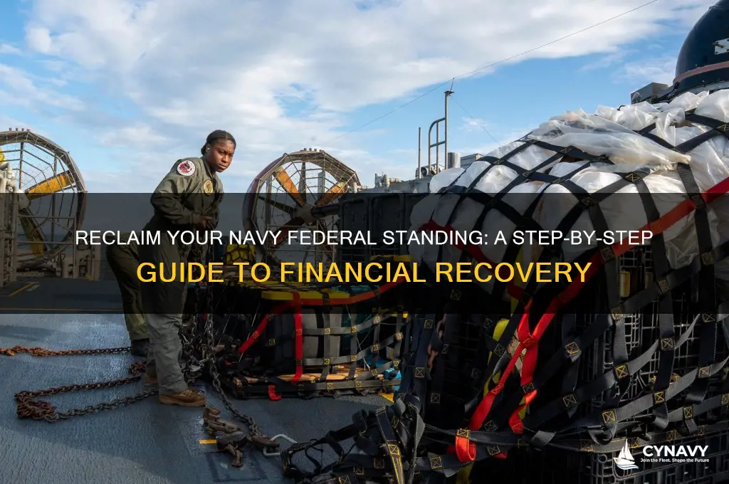 how to get back in good standing with navy federal