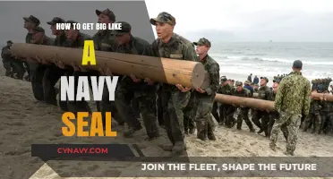 Navy SEAL Strength: Proven Training Secrets for Ultimate Physical Power