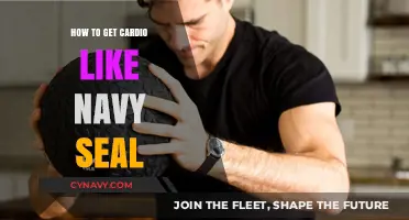Navy SEAL Cardio Secrets: High-Intensity Workouts for Peak Fitness