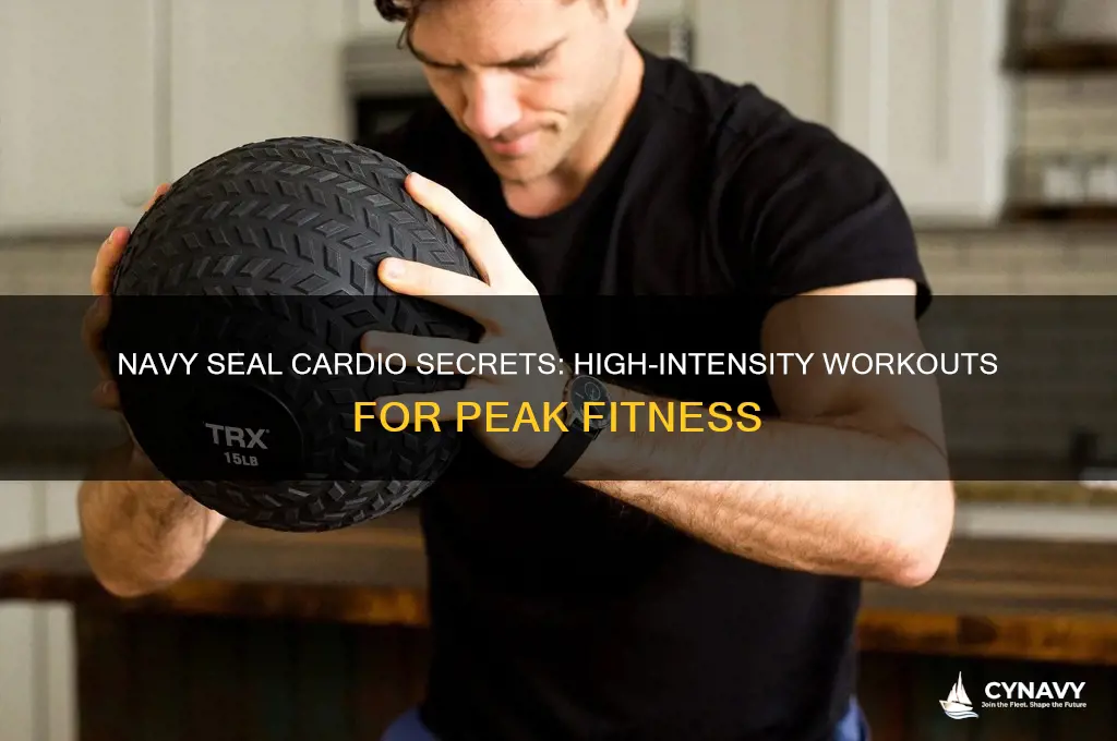 how to get cardio like navy seal