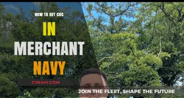 Steps to Obtain Certificate of Competency for Merchant Navy