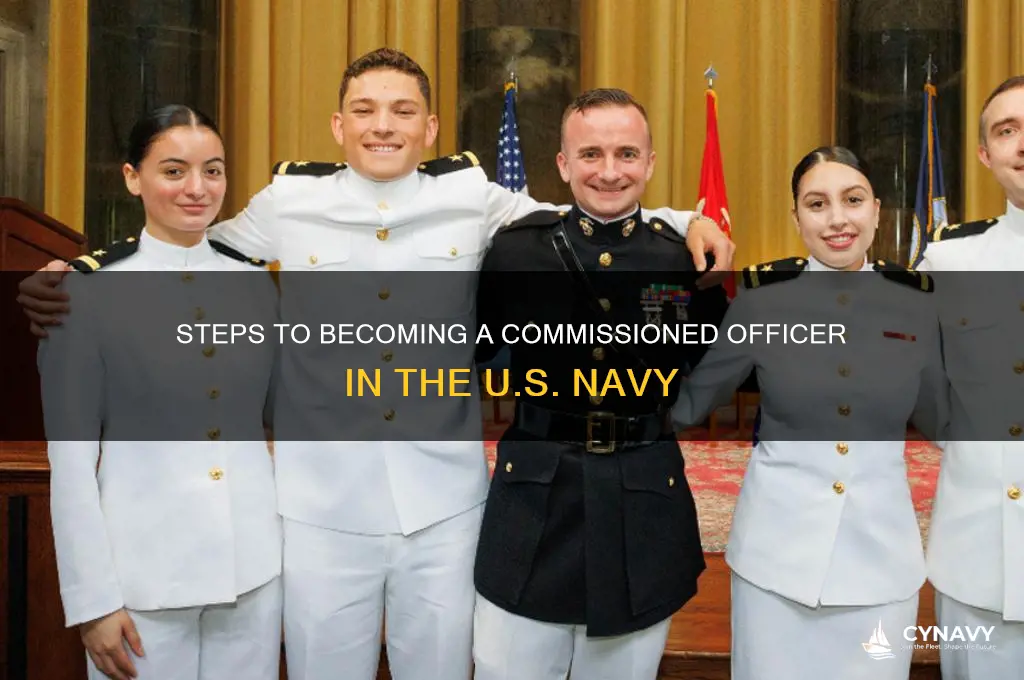 how to get commisioned as an office in the navy