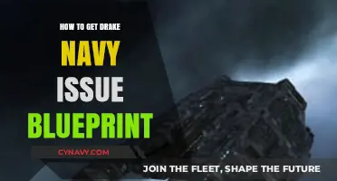 Unlock Drake's Navy Issue Blueprint: A Step-by-Step Guide