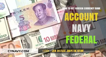Open a Foreign Currency Bank Account with Navy Federal: A Guide