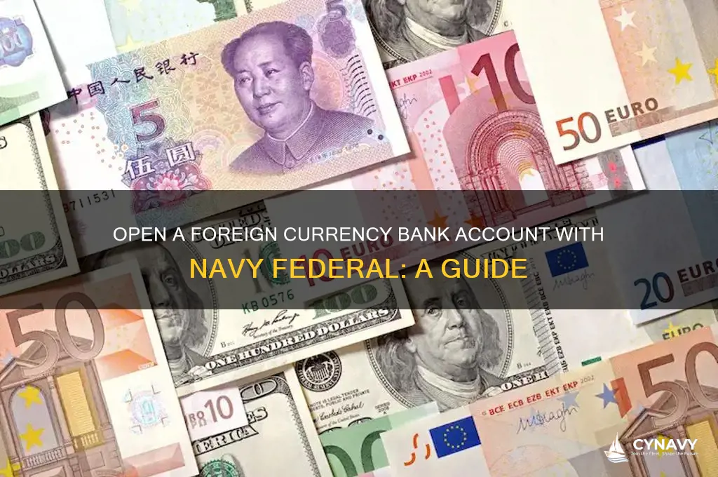 how to get foreign currency bank account navy federal