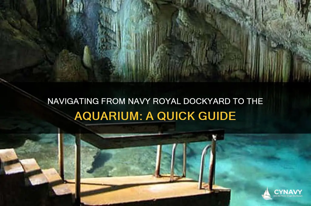 how to get from navy royal dockyard to aquarium