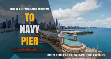 Exploring Chicago: Shedd Aquarium to Navy Pier Travel Guide