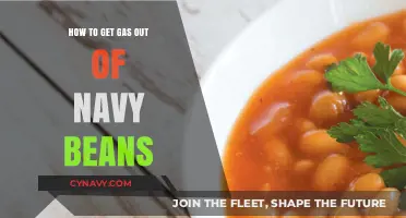 Effective Tips to Reduce Gas from Navy Beans Easily