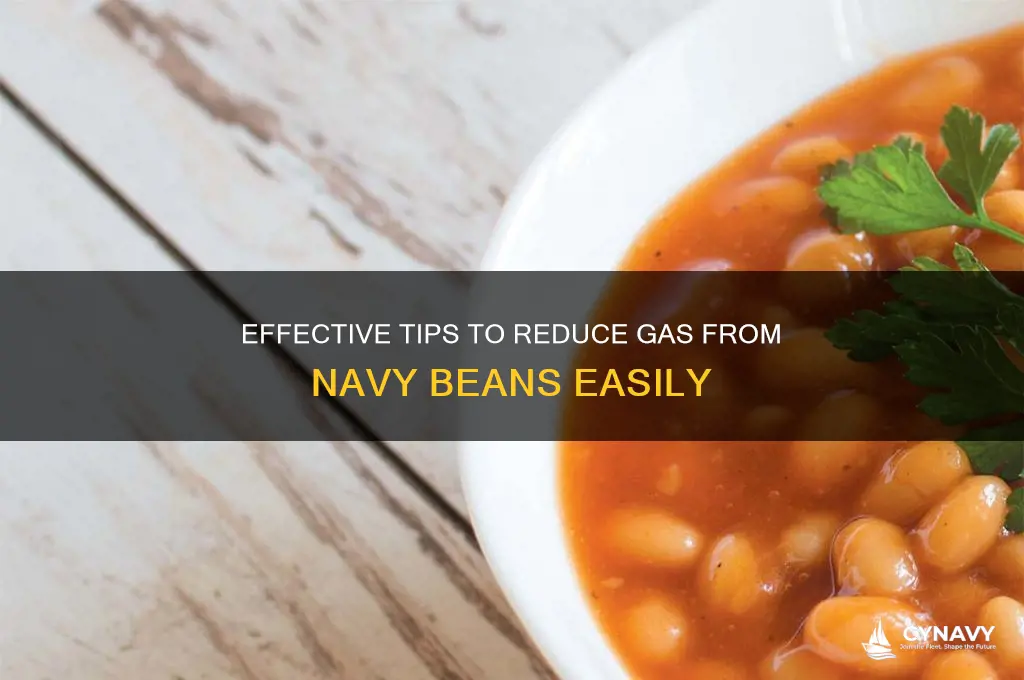 how to get gas out of navy beans