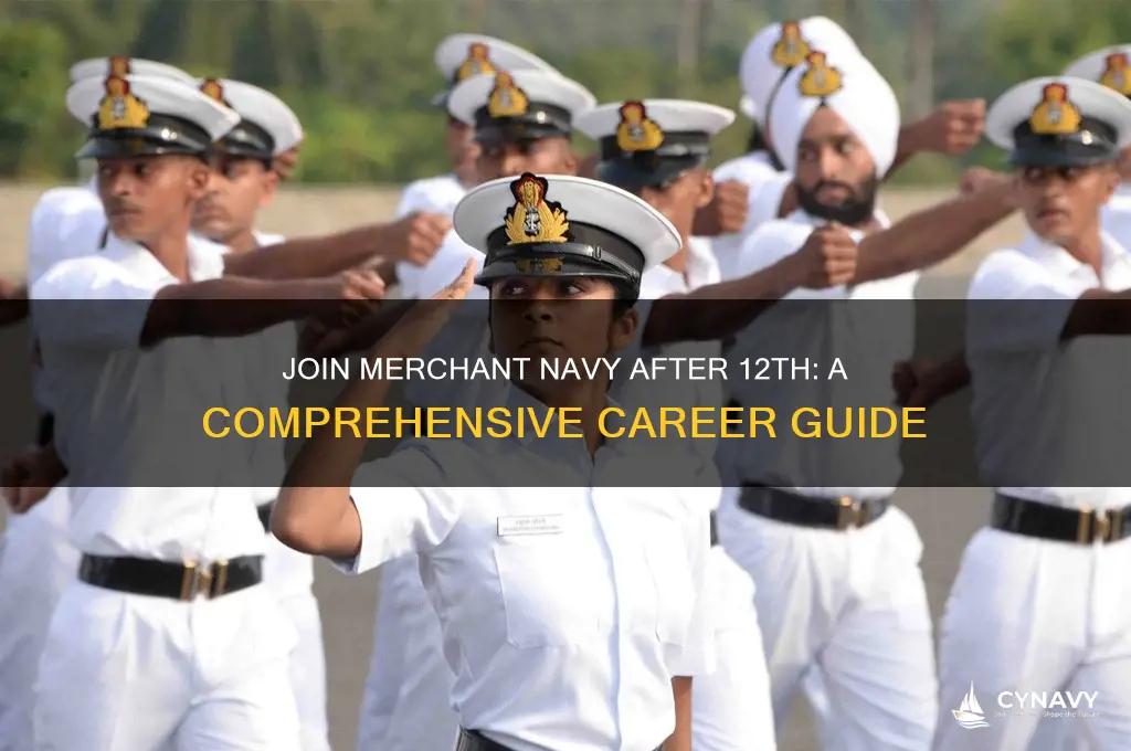 how to get in merchant navy after 12th