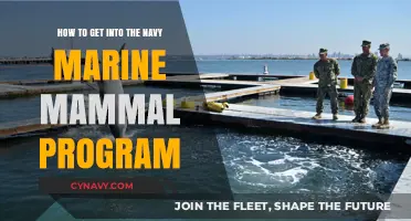 Join the Navy's Marine Mammal Program: A Step-by-Step Guide