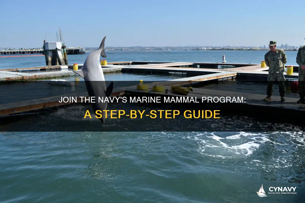how to get into the navy marine mammal program