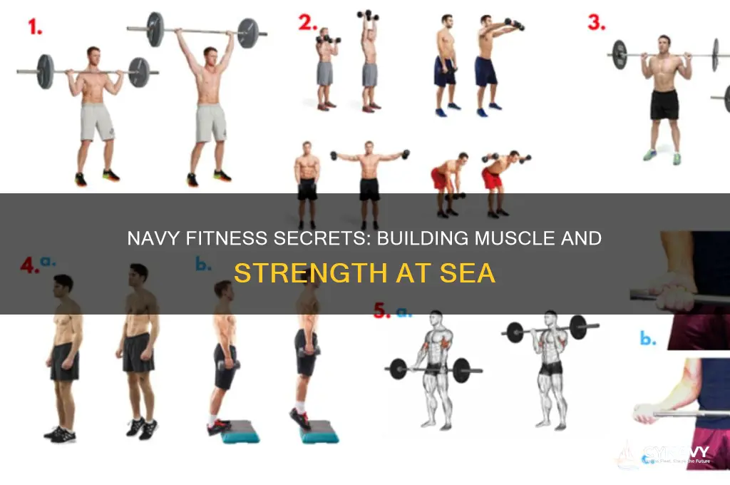 how to get jacked while in the navy