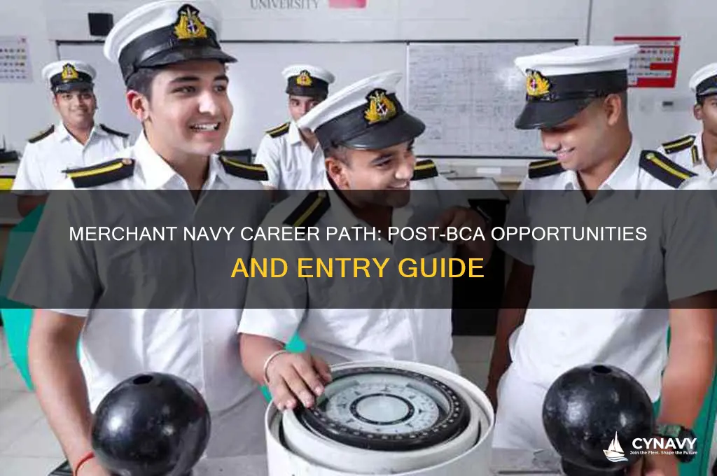 how to get job in merchant navy after bca