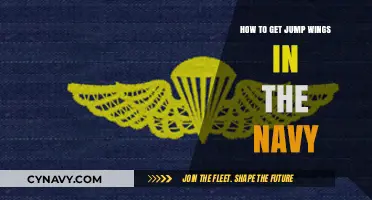 Earning Navy Jump Wings: A Step-by-Step Guide to Qualification