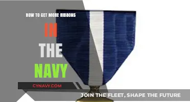 Earning Navy Ribbons: Strategies for Recognition and Career Advancement