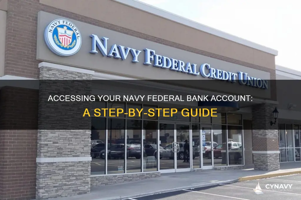 how to get my navy federal bank info
