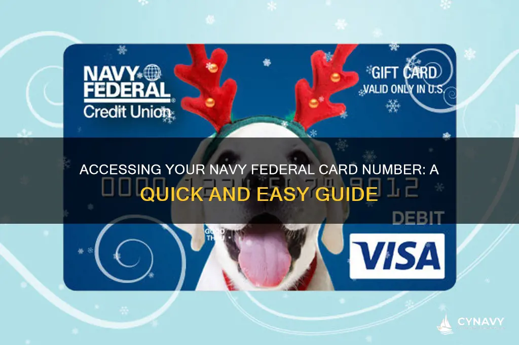 how to get my navy federal card number