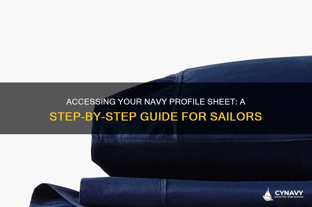 how to get my navy profile sheet
