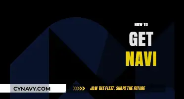Mastering Navi Acquisition: A Step-by-Step Guide for Gamers