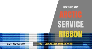 Earning the Navy Arctic Service Ribbon: Requirements and Application Guide