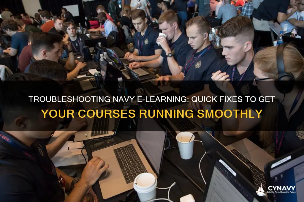 how to get navy e learning to work