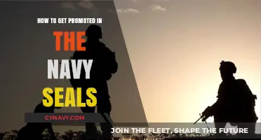 Mastering Navy SEAL Promotions: Strategies for Career Advancement and Success