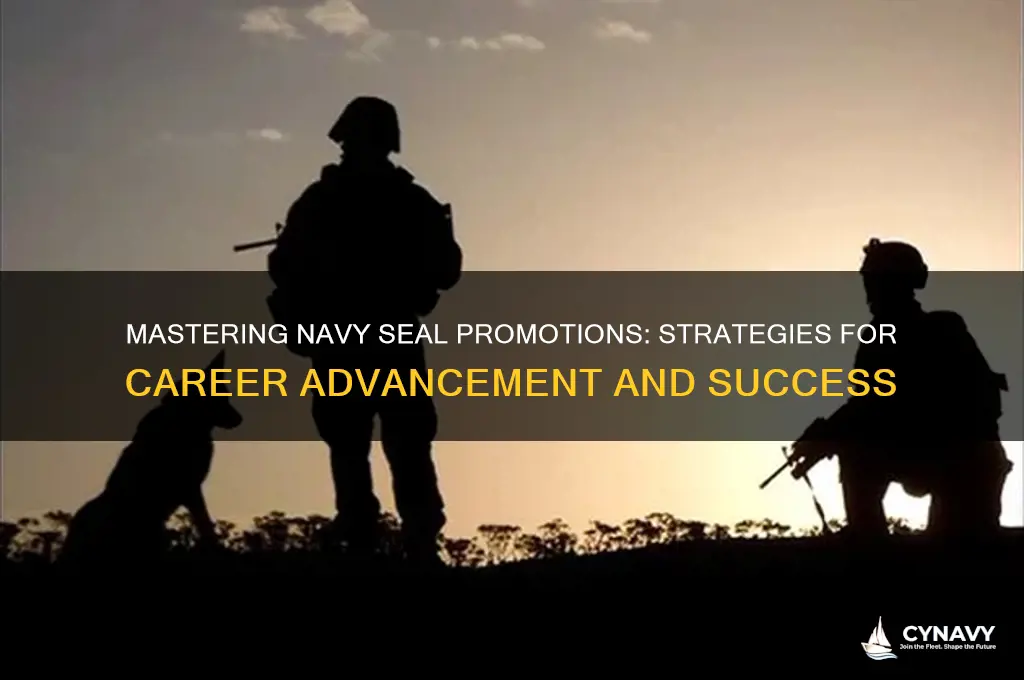 how to get promoted in the navy seals