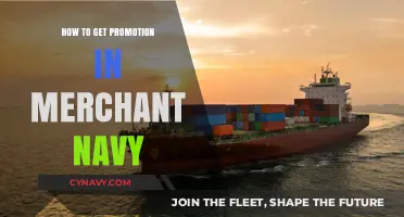 Strategies for Advancing Your Career in the Merchant Navy