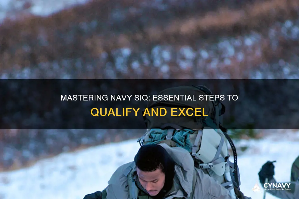 how to get siq in the navy