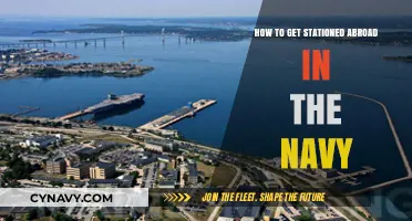 Navy Abroad: Steps to Secure Your Overseas Station Assignment