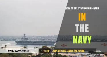 Navy Life in Japan: Steps to Secure Your Overseas Stationing