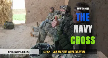 Earning the Navy Cross: Heroic Actions and Distinguished Service Explained