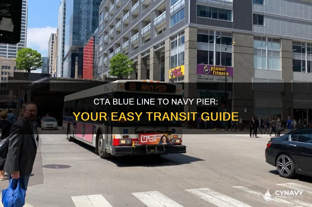 how to get to navy pier by cta blue line