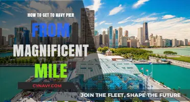 Easy Travel Guide: Navy Pier from Magnificent Mile in Chicago