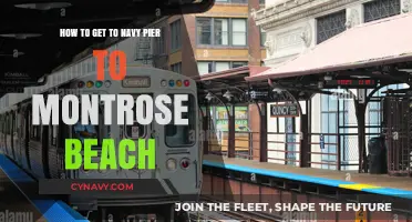 Navy Pier to Montrose Beach: Your Ultimate Chicago Transit Guide