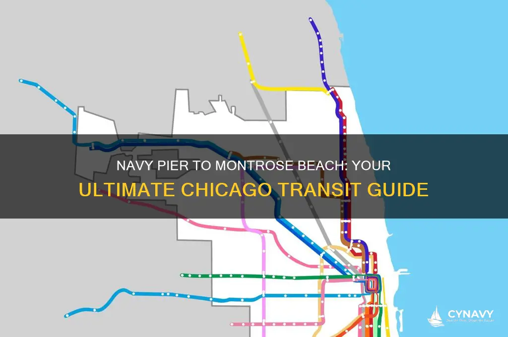 how to get to navy pier to montrose beach