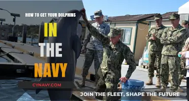Training Dolphins for Naval Service: A Comprehensive Guide to Success