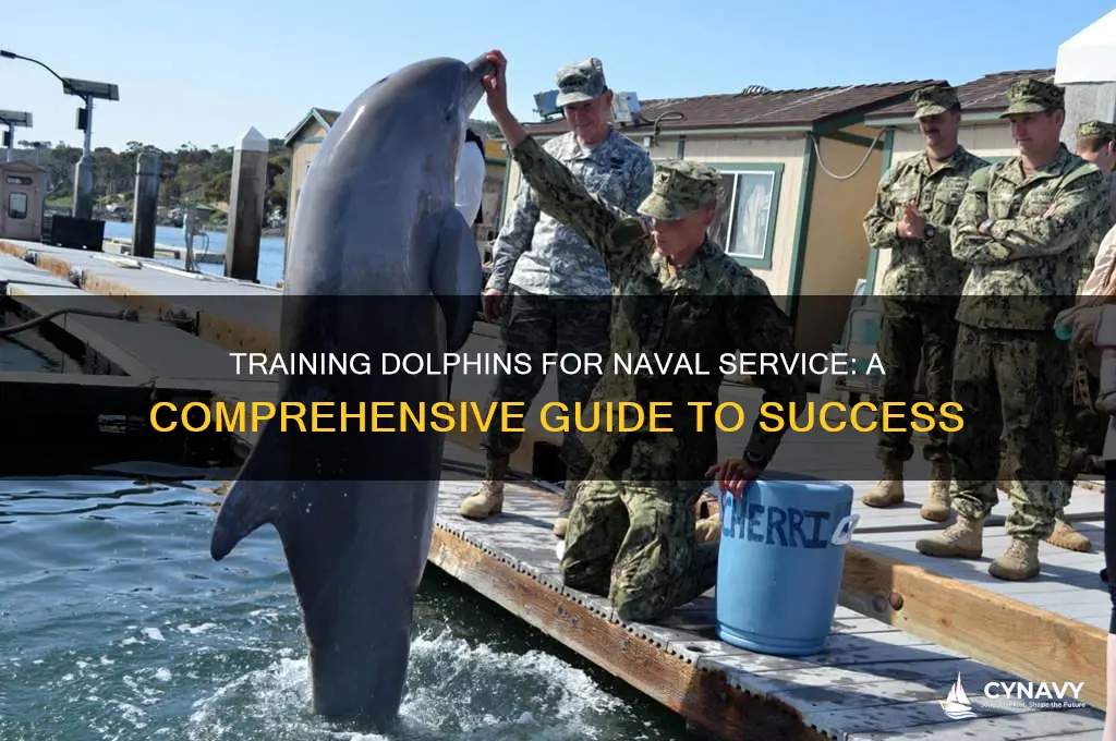 how to get your dolphins in the navy